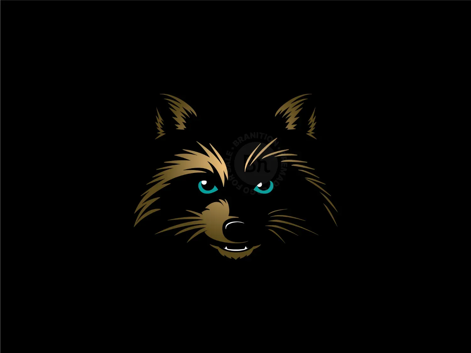 Raccoon Logo