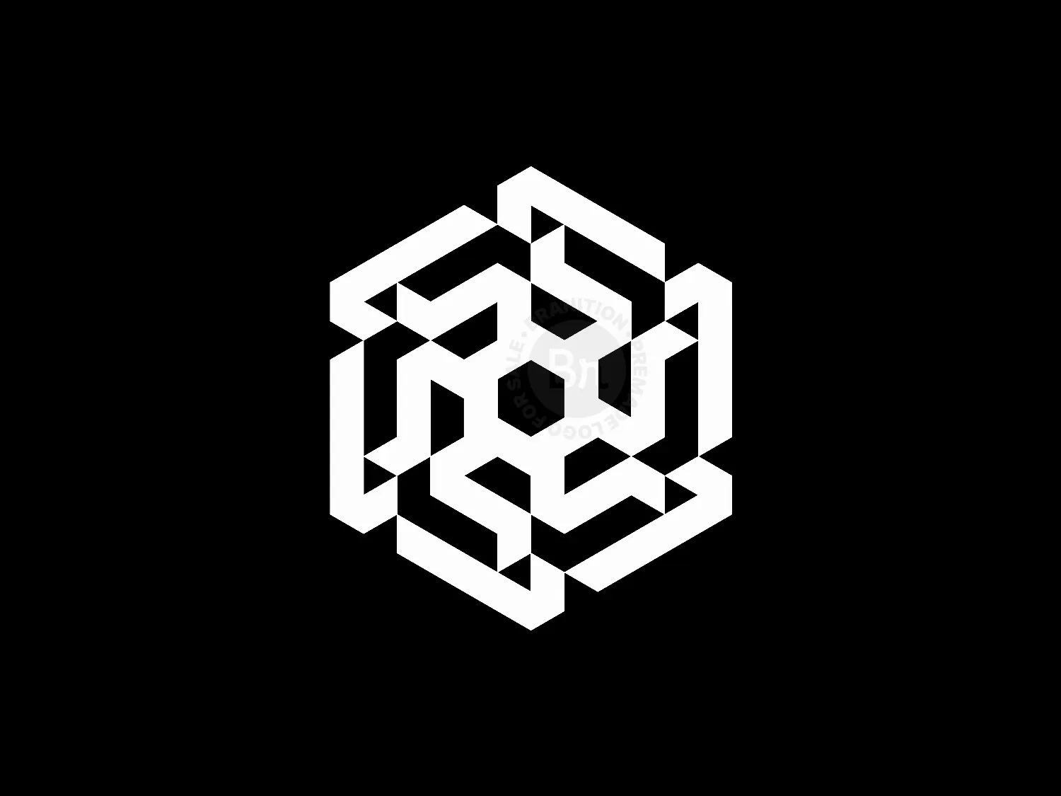 Modern Hexagonal Logo Design