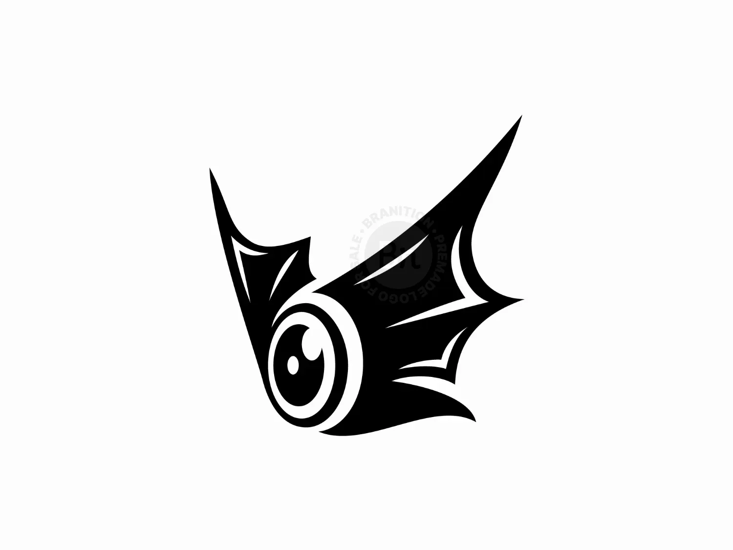 Bat Photography