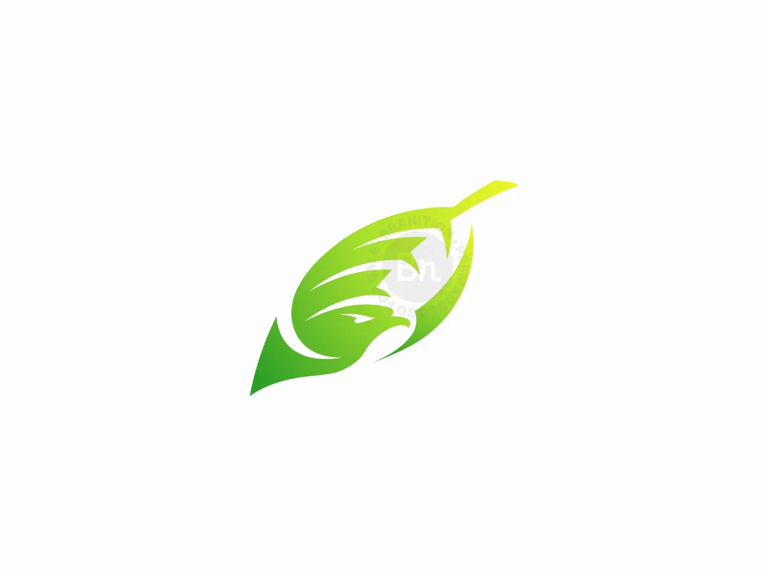 Eagle Logo Inspirations 34