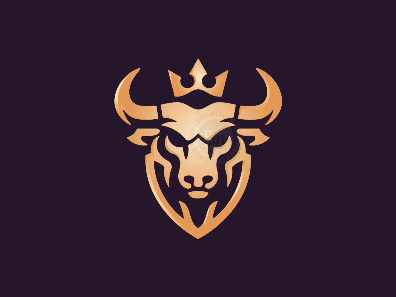 protection logo logo 2