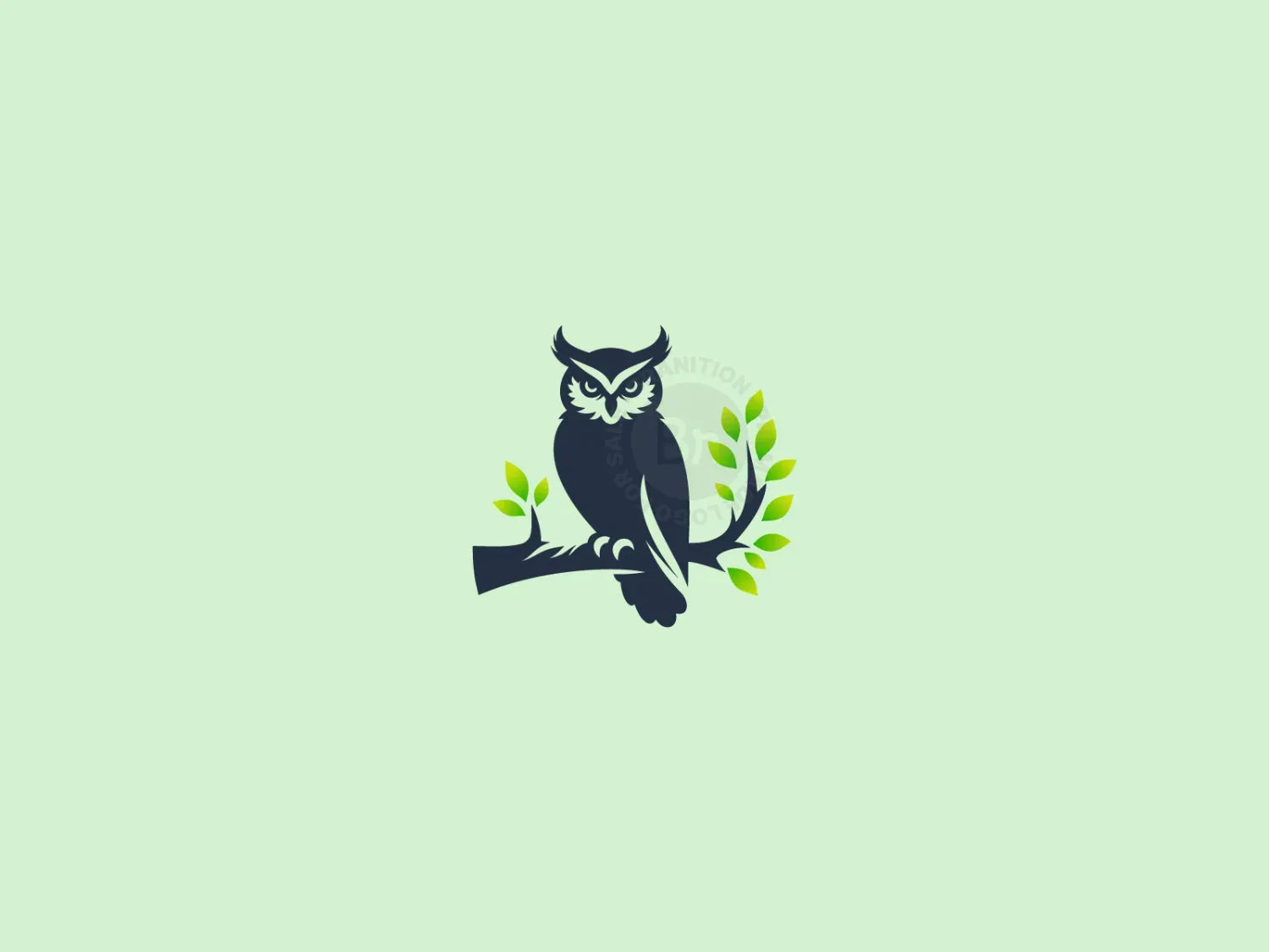 Owl Logo Available For Purchase