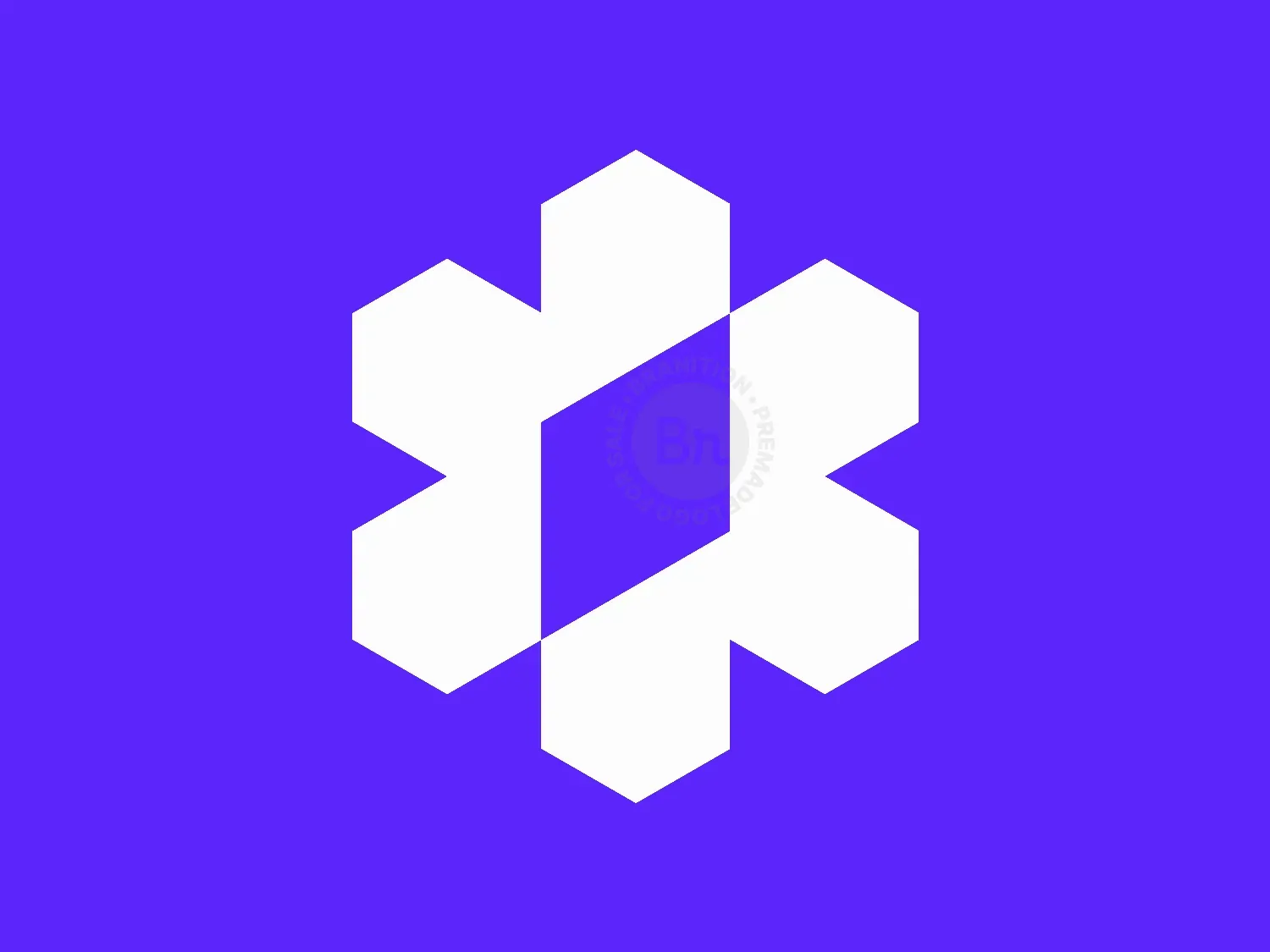 Abstract Hexagon Network Logo