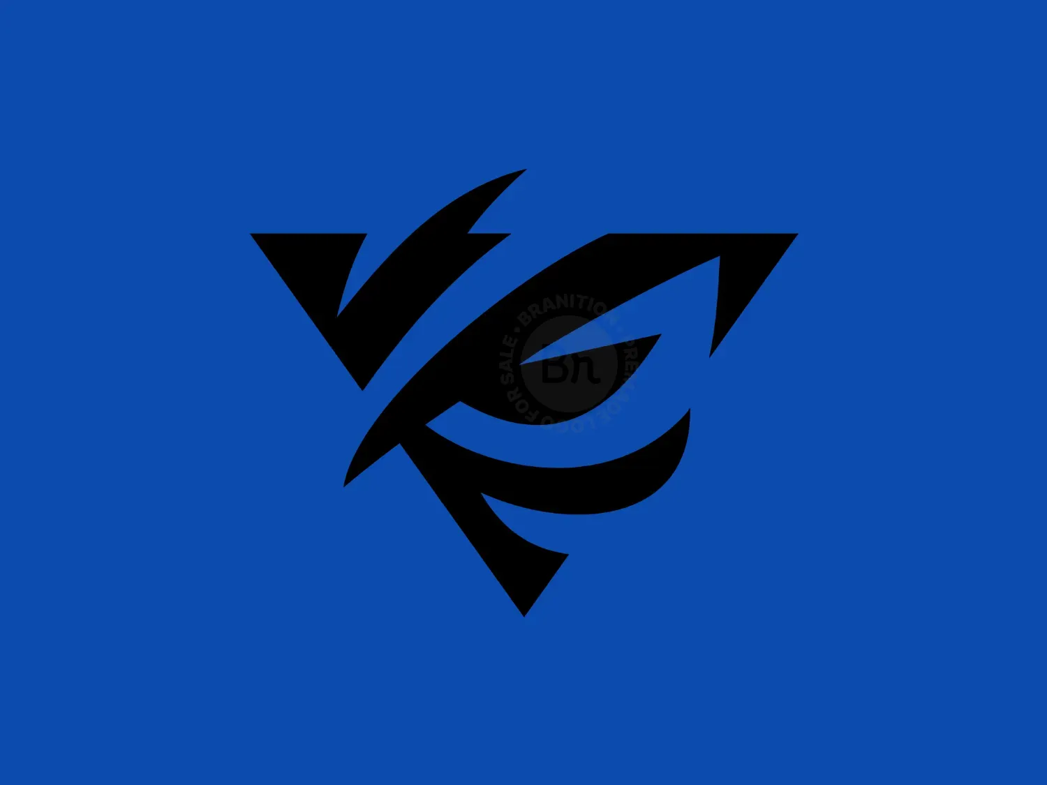 Sharp Triangle Eye Modern Logo