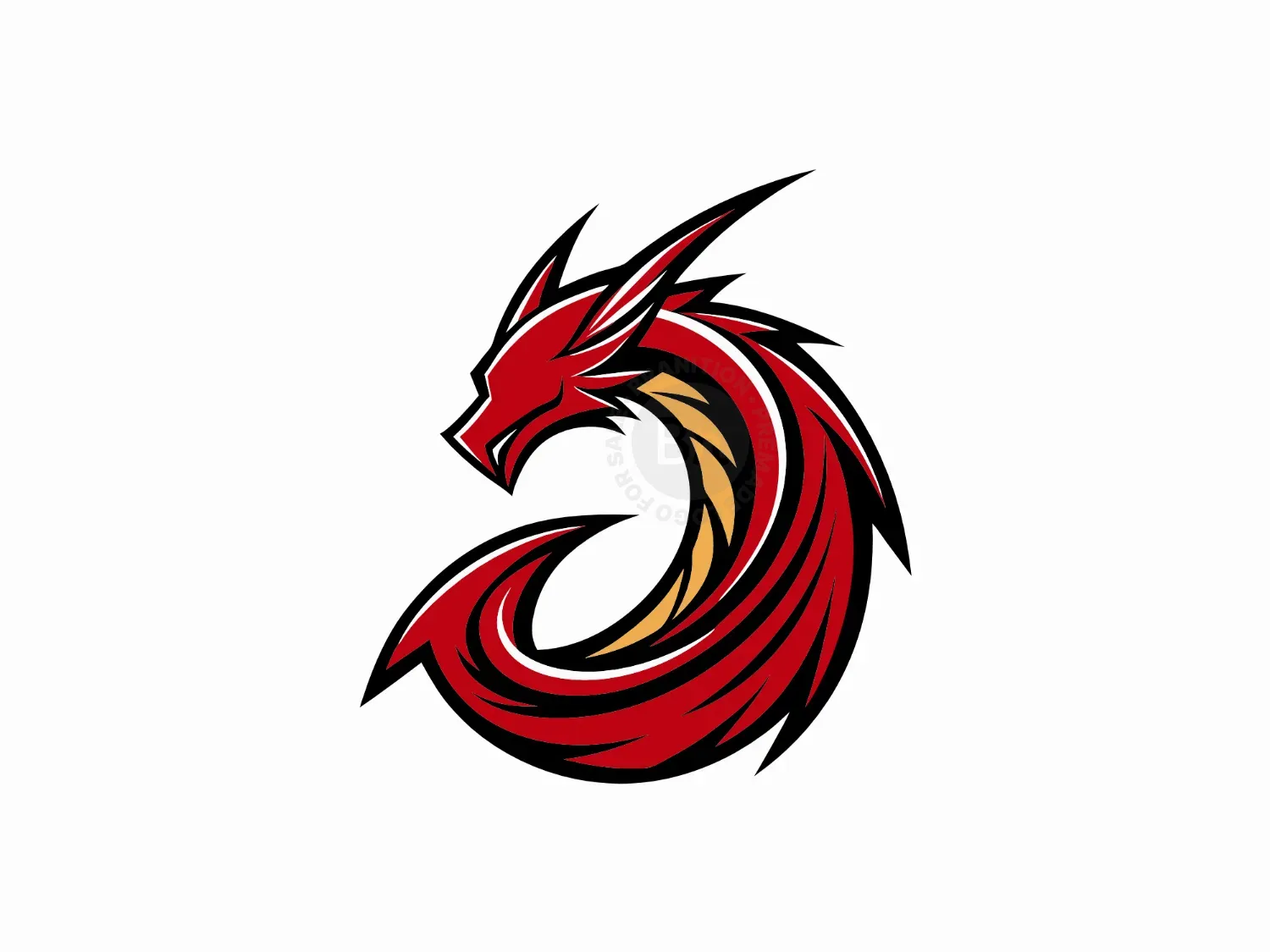 D Dragon