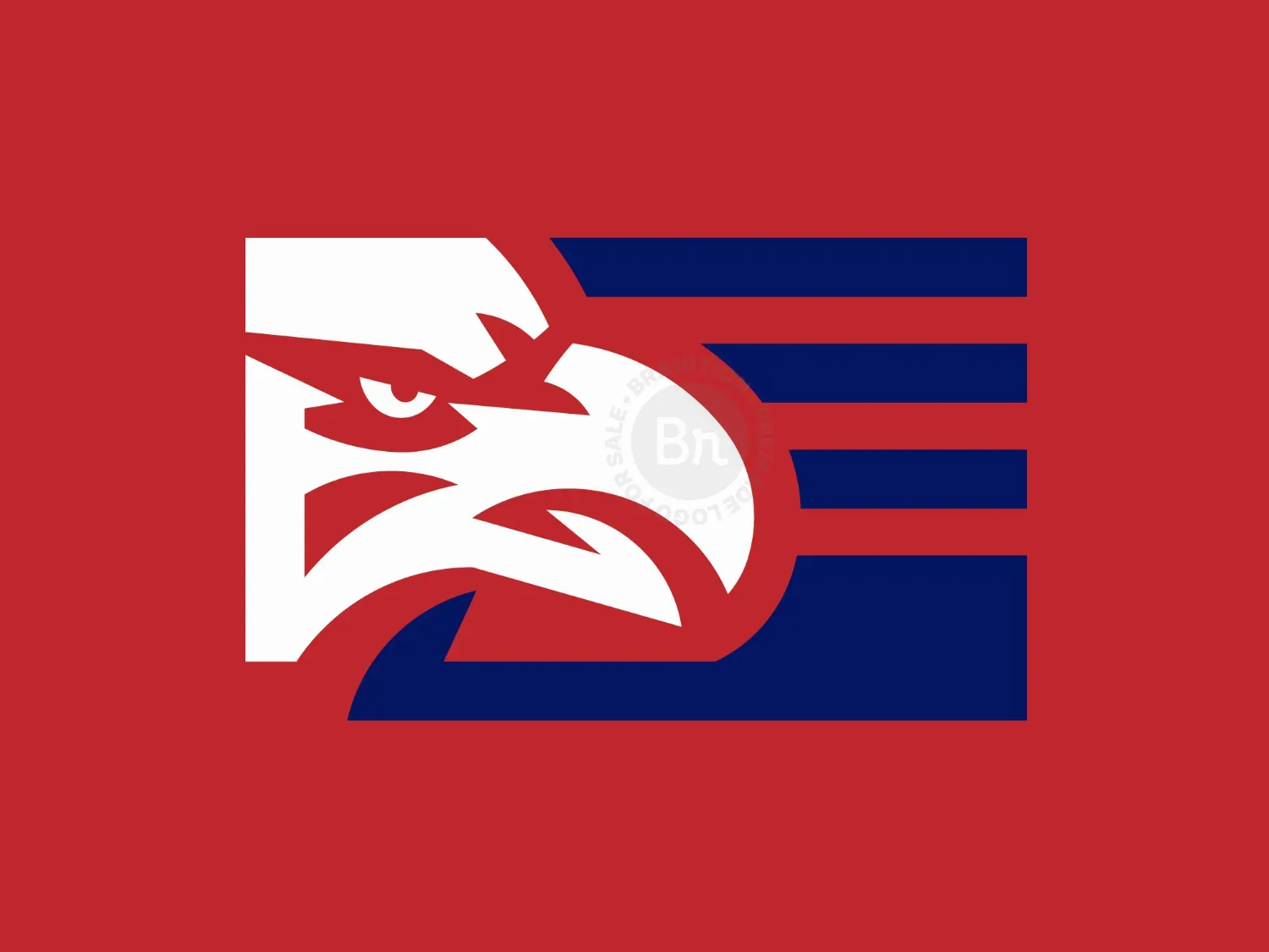 America Eagle Flag Logo