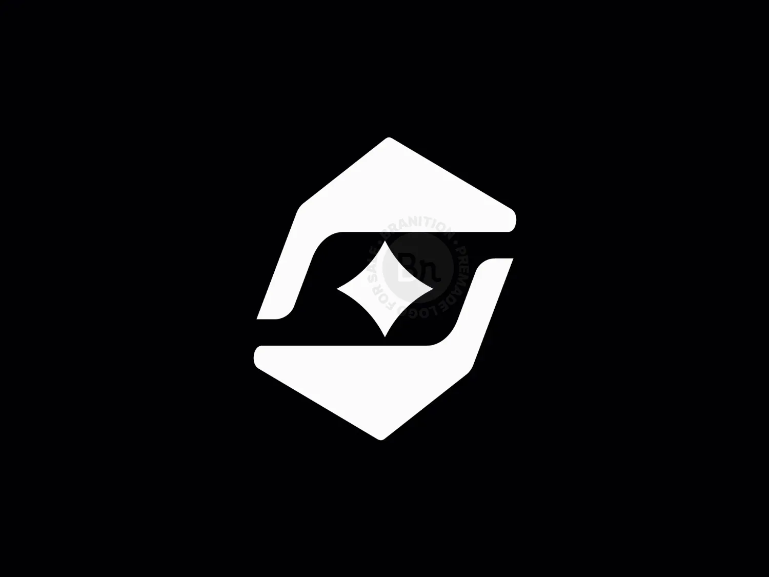 Letter S Star Logo