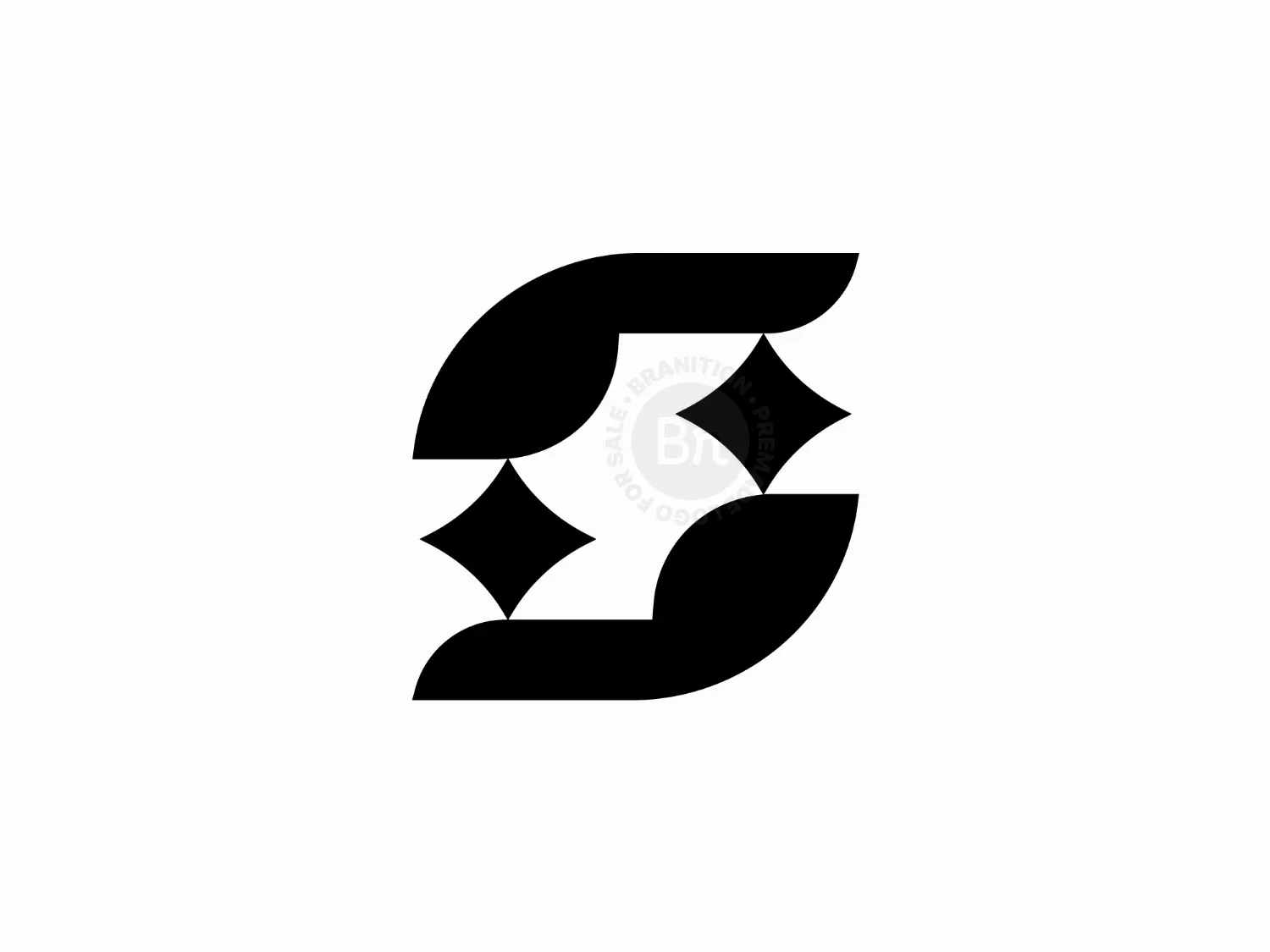 Letter S Star Logo