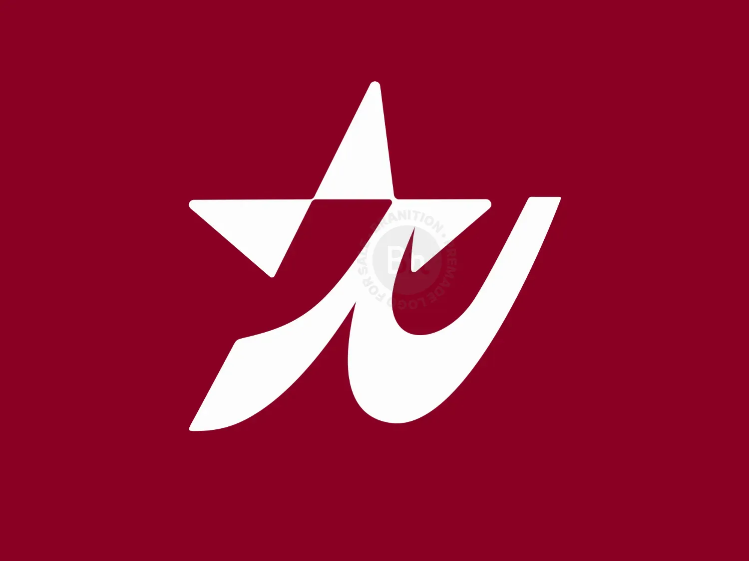 Letter N Star Simple Modern Logo