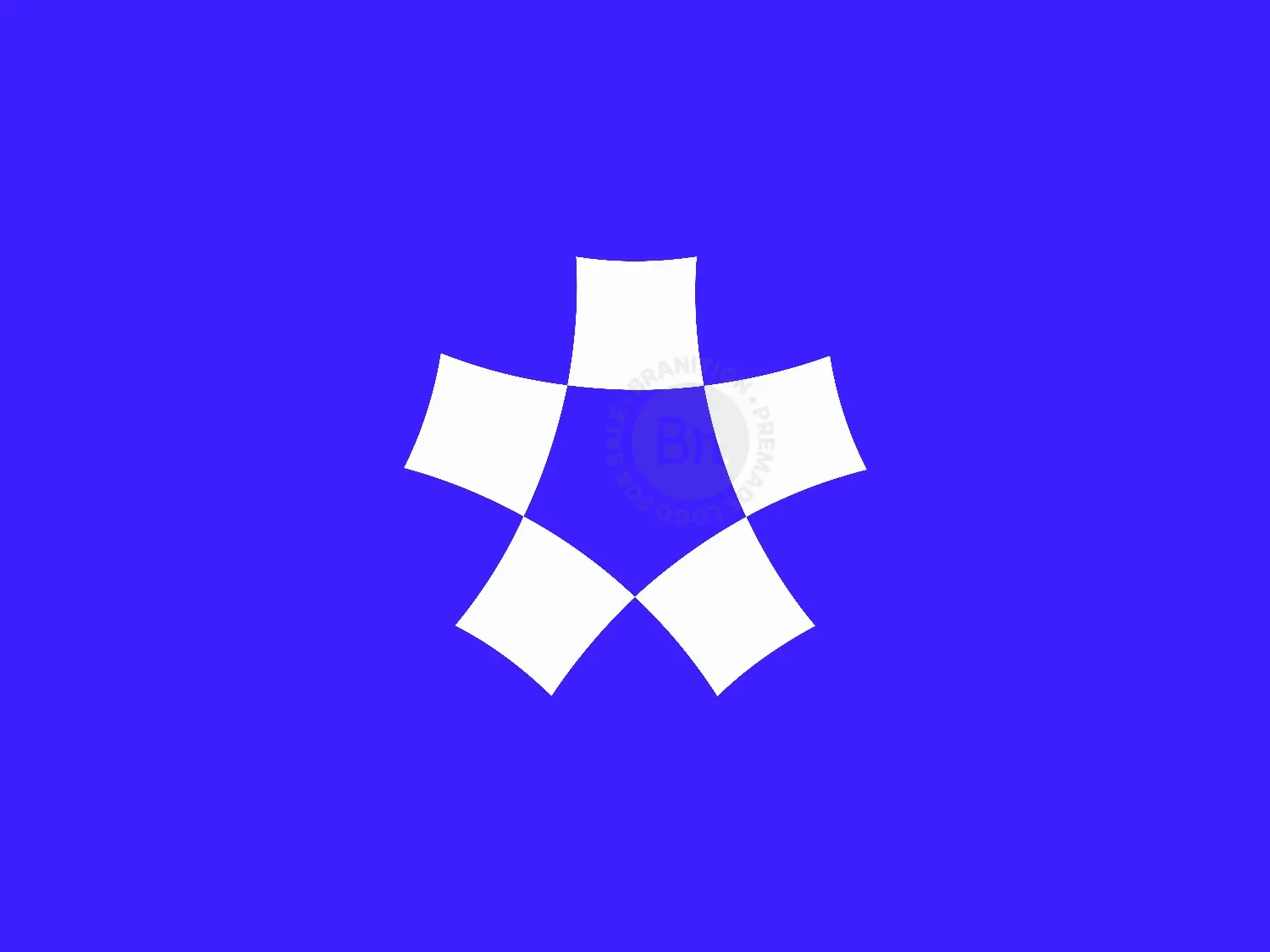 Abstract Star Shield Logo Design