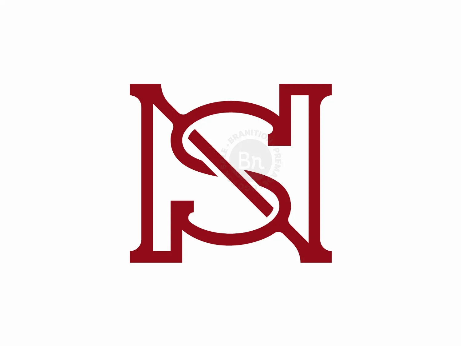 Letter NS Logo