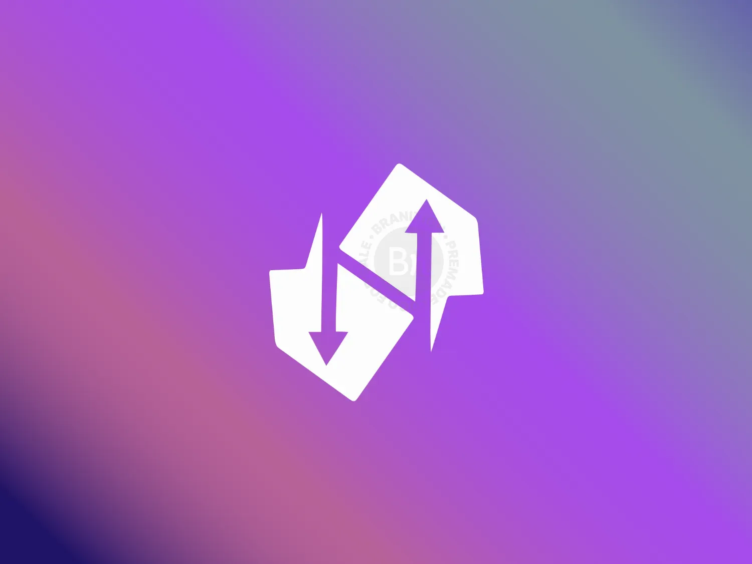 Arrow Letter S Or N Logo
