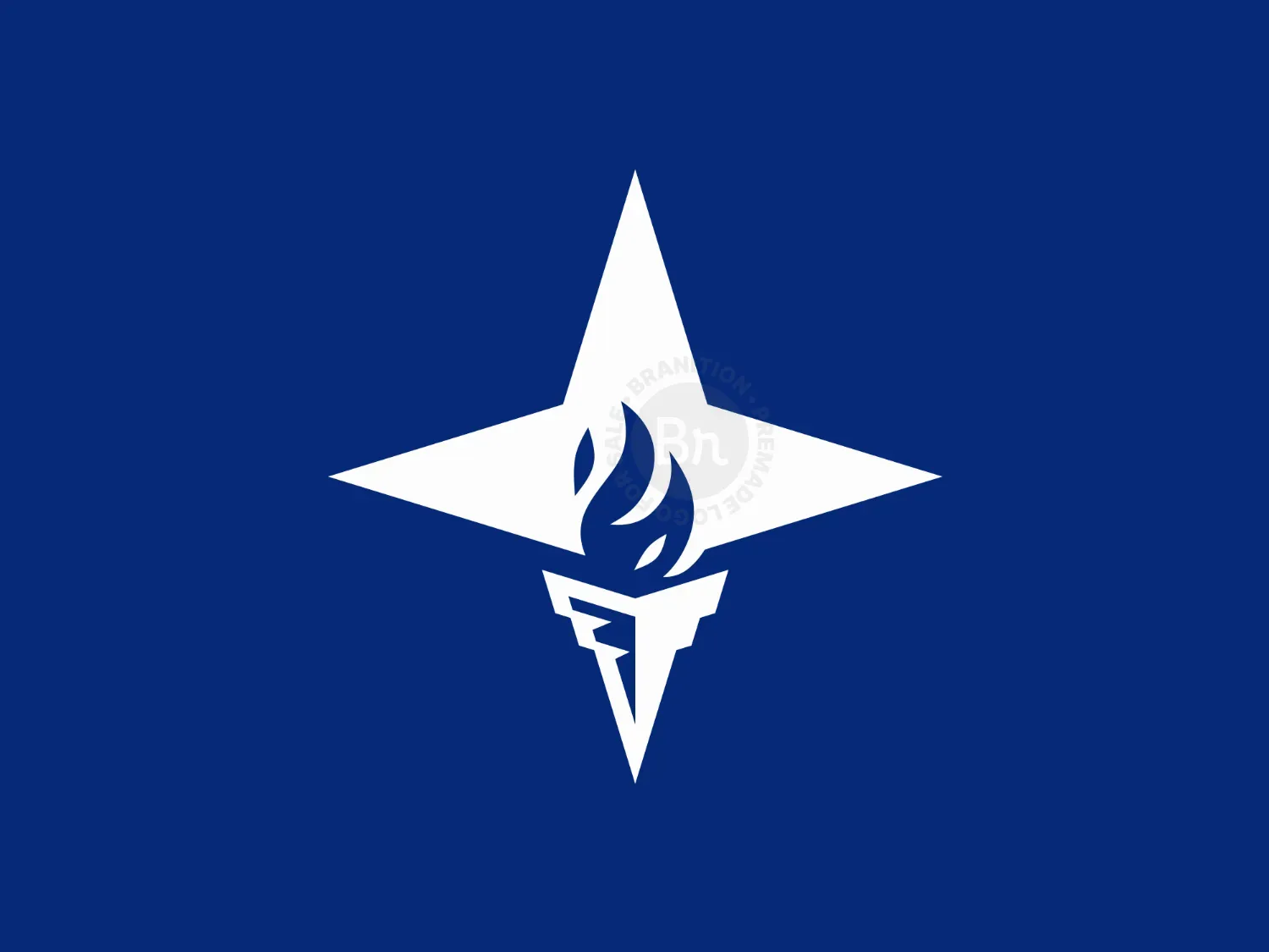 Star Torch Simple Modern Logo