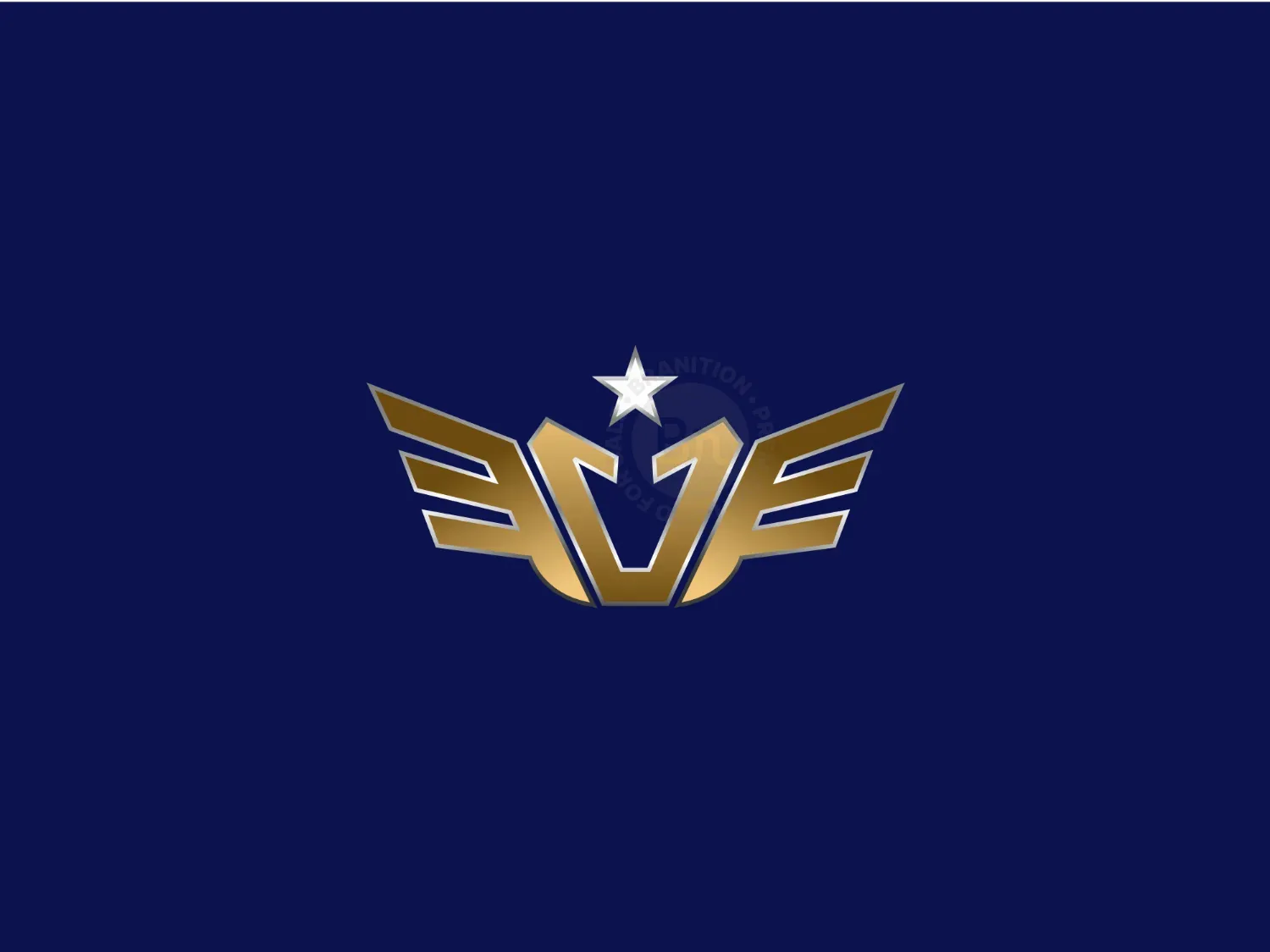 Letter V Wings Logo