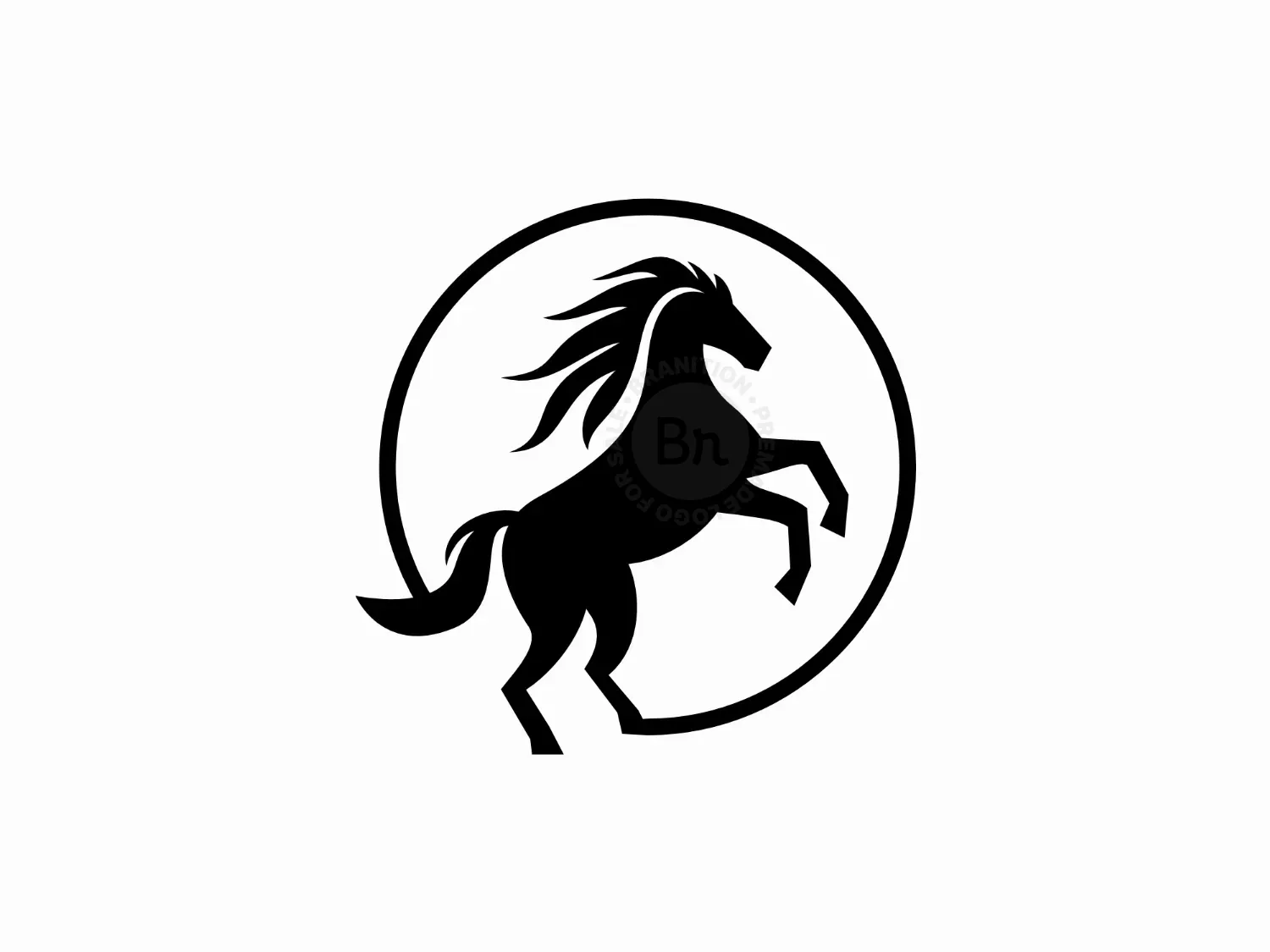 Horse Attractive And Strong