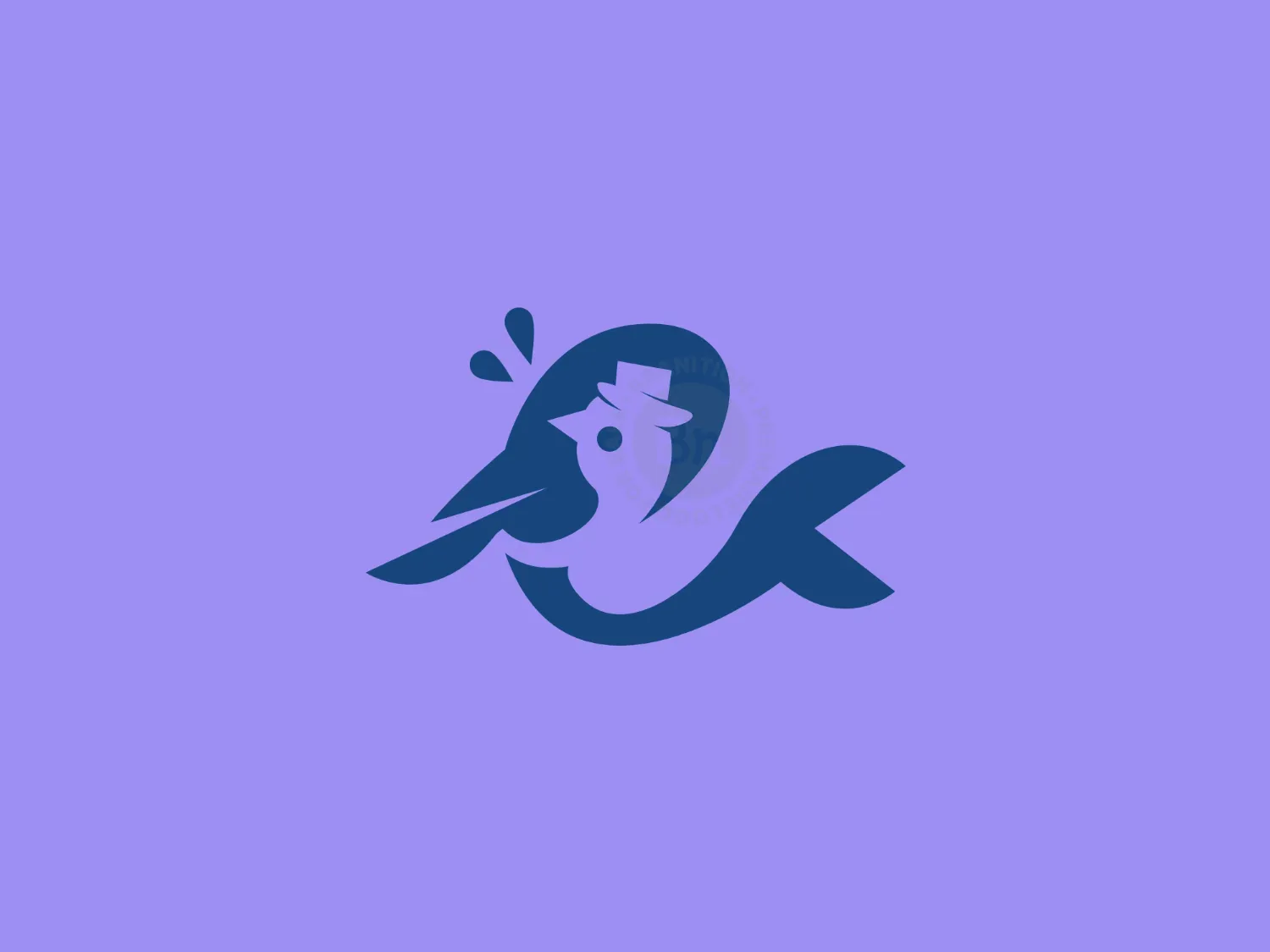Bird Whale Logo