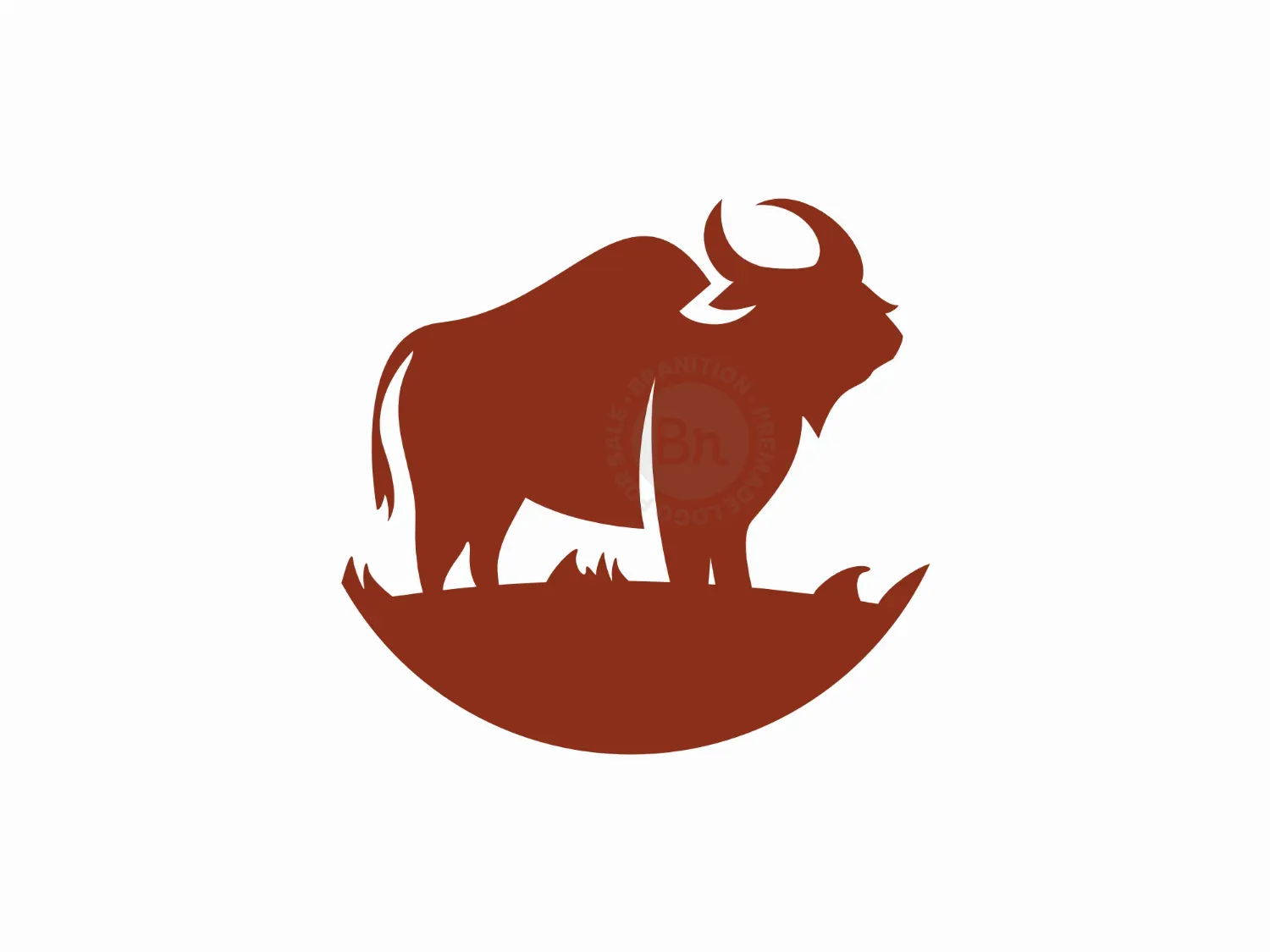 Cow Cattle