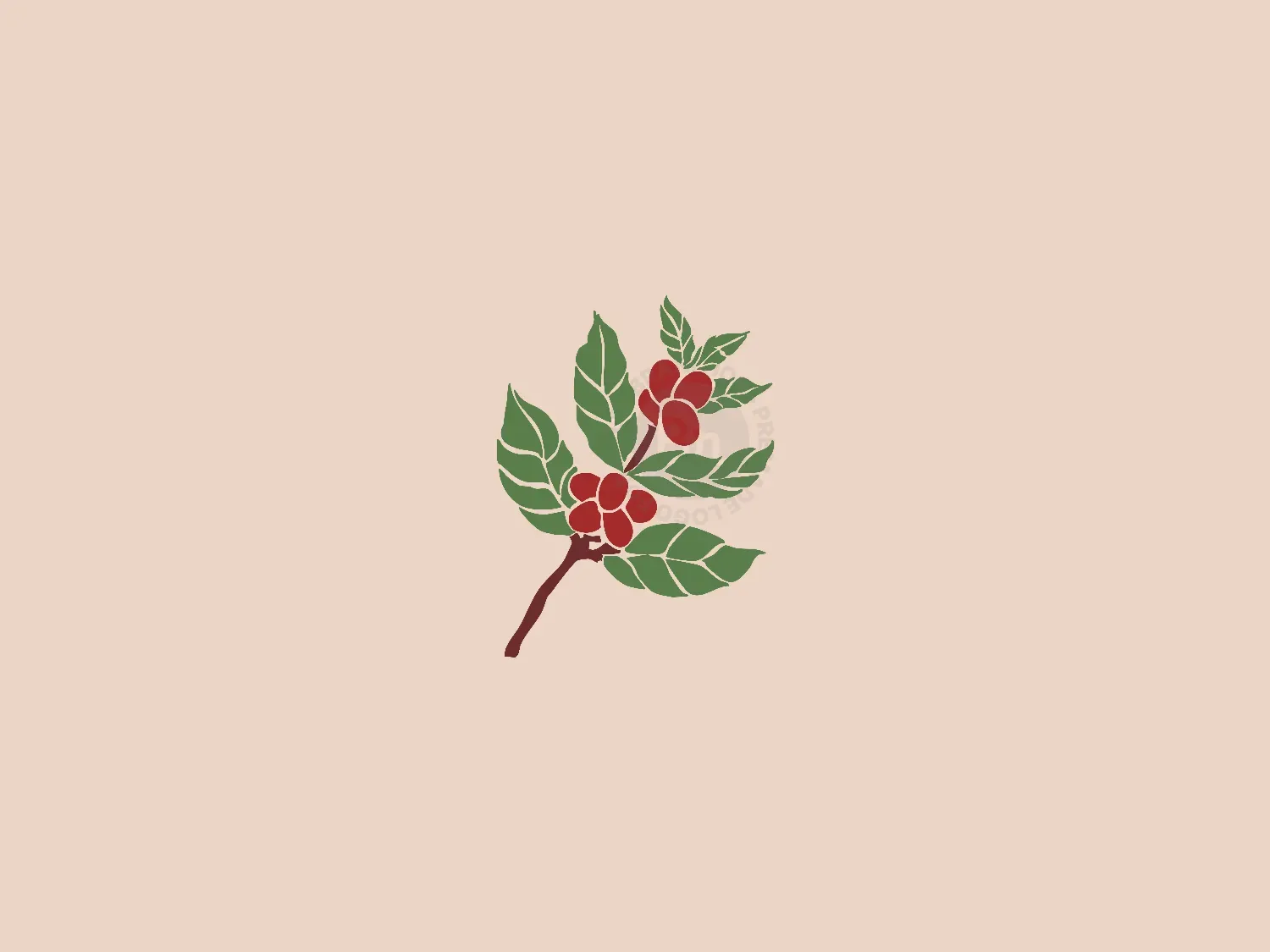 Coffee Branch