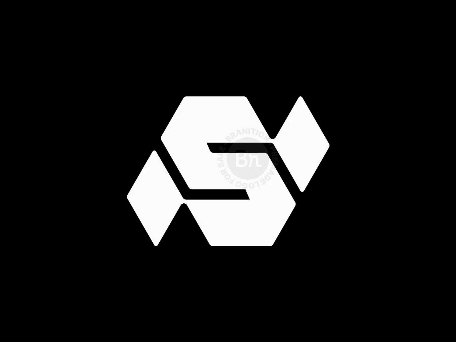 Modern SN Geometric Logo