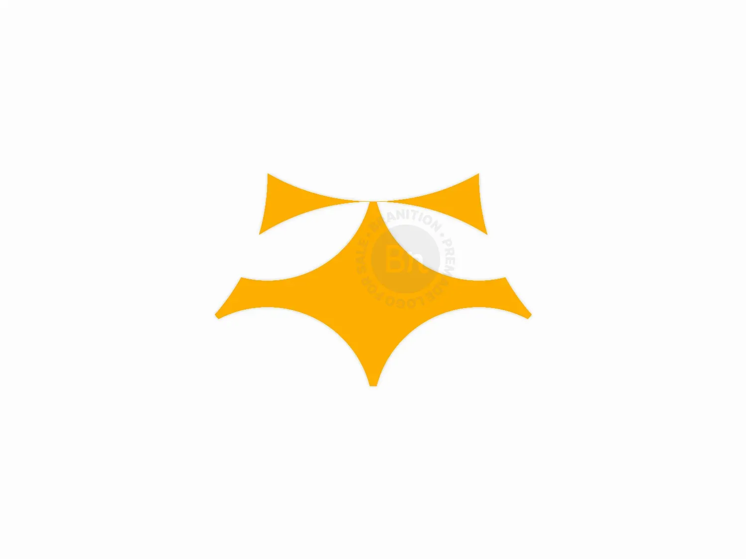Abstract Spark Logo Design