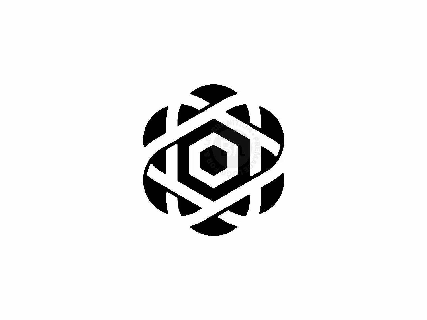 Abstract Hexagon Geometric Logo Design