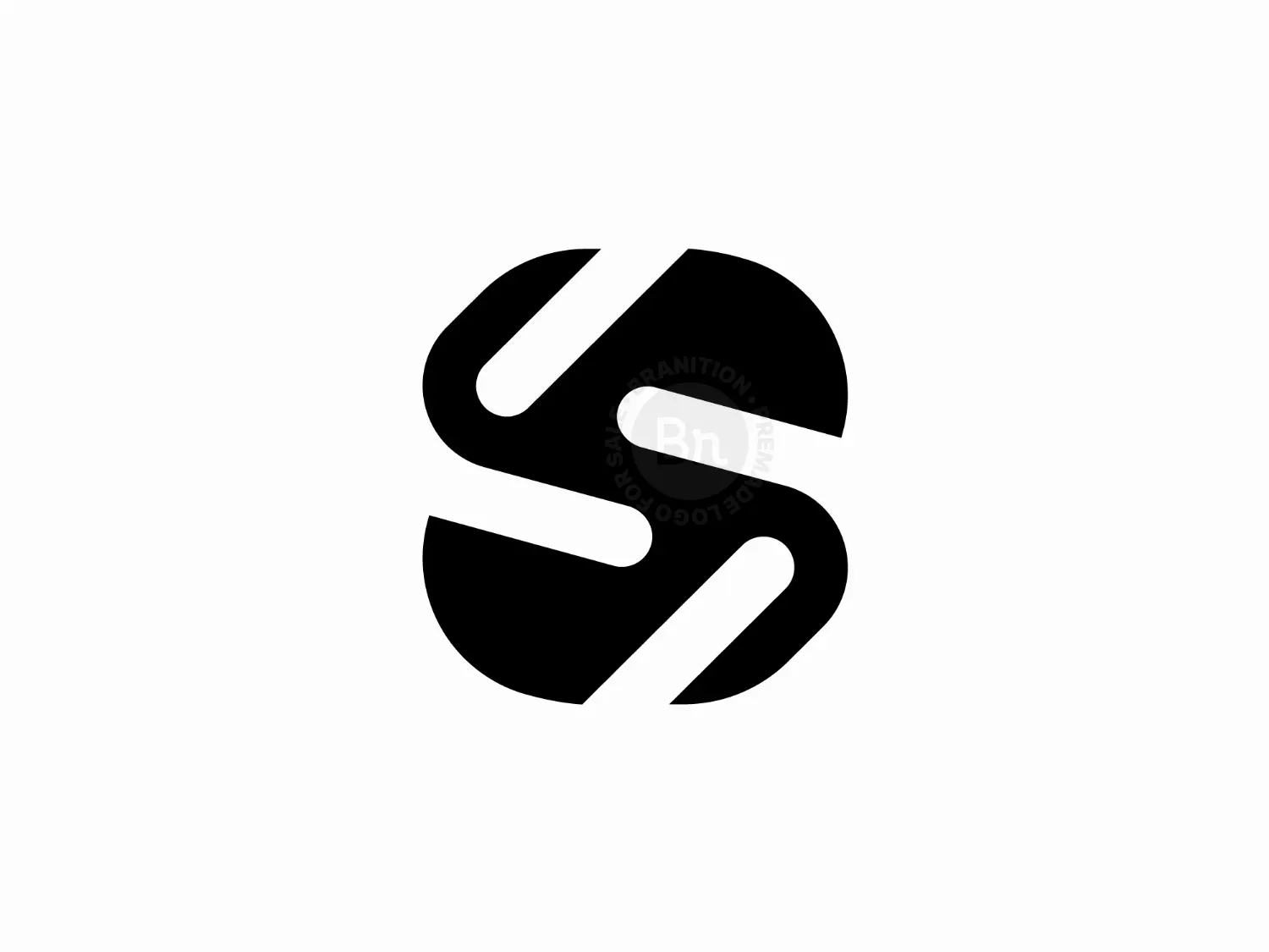 Letter S Stylish Logo