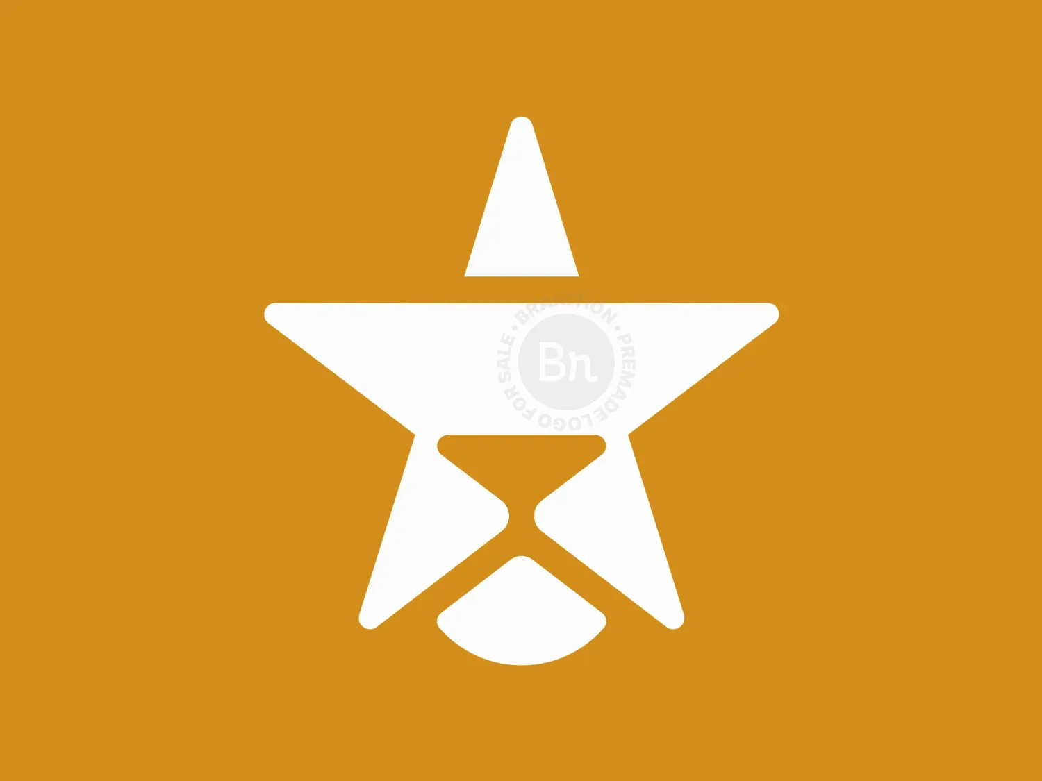 Lion Star Simple Modern Logo