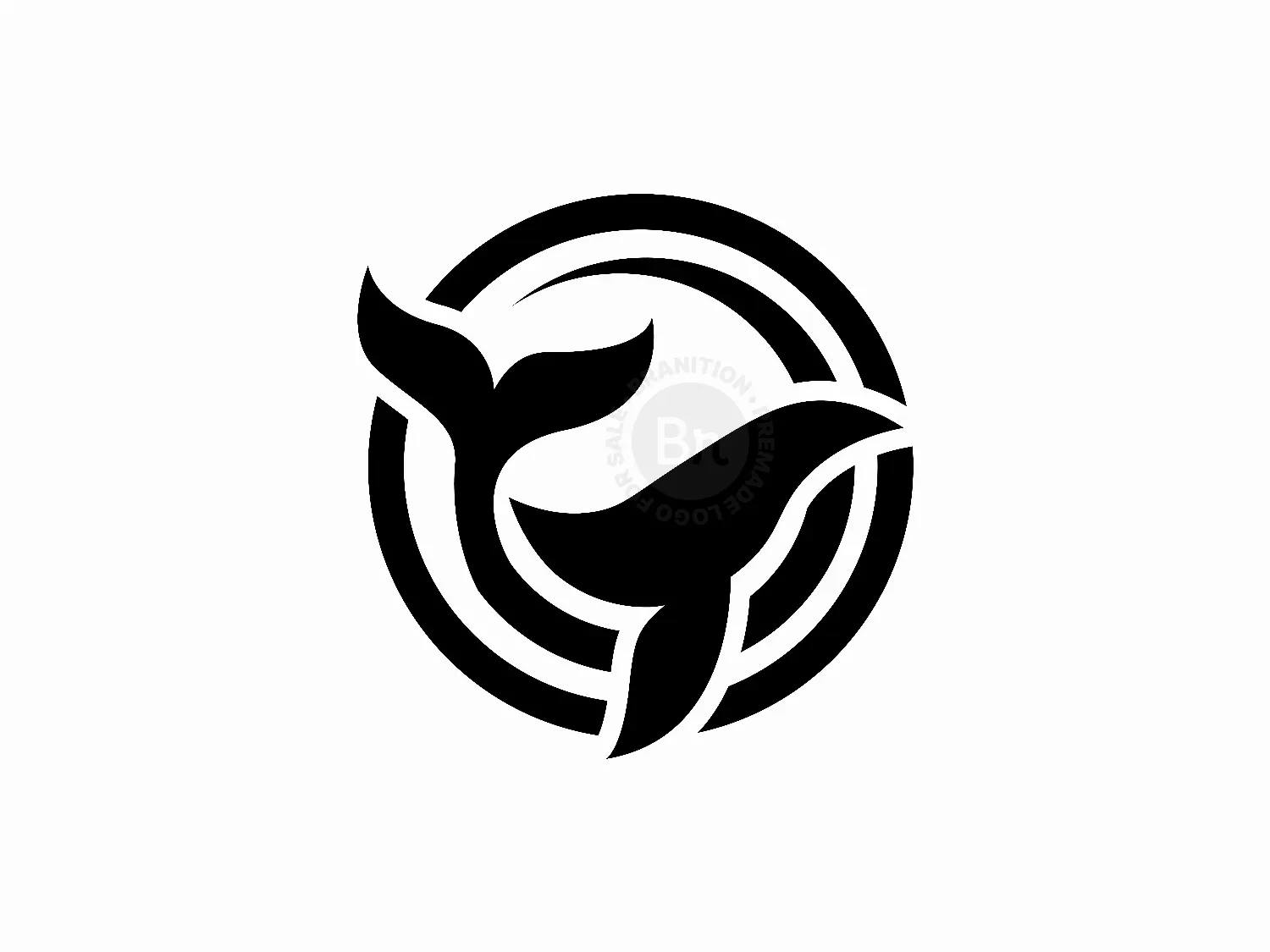 Whale Loop, Minimal Whale Logo