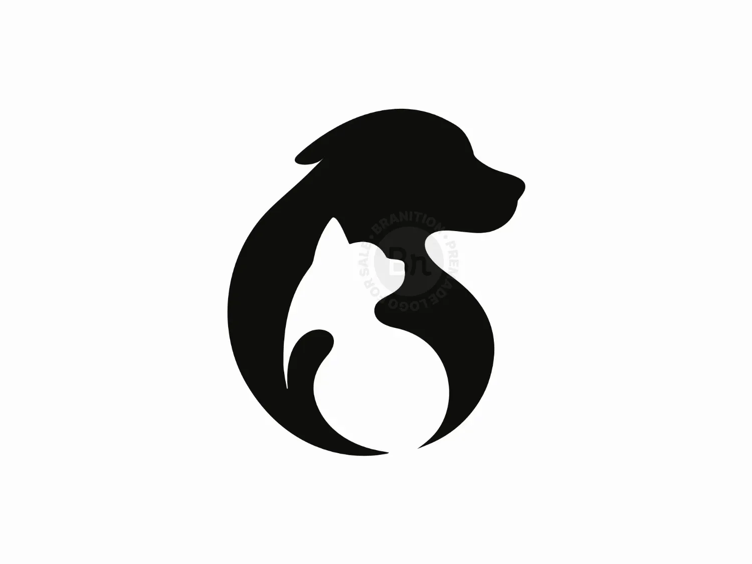 Cat And Dog
