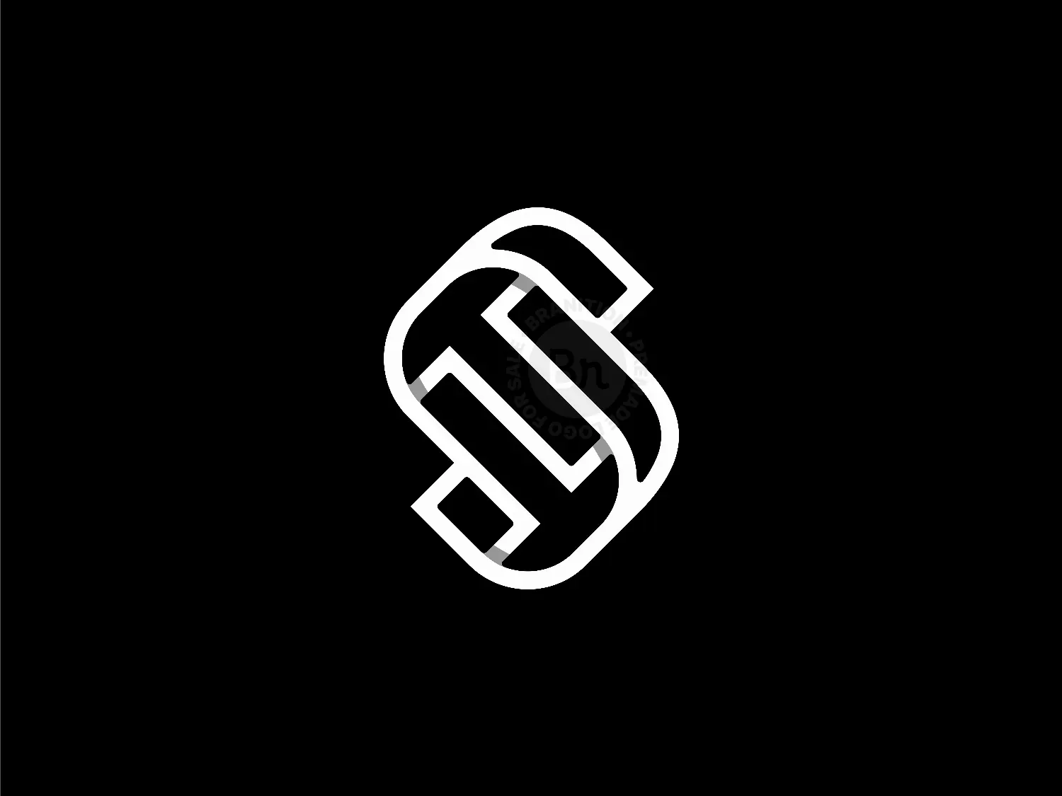 Letter ST TS Logo