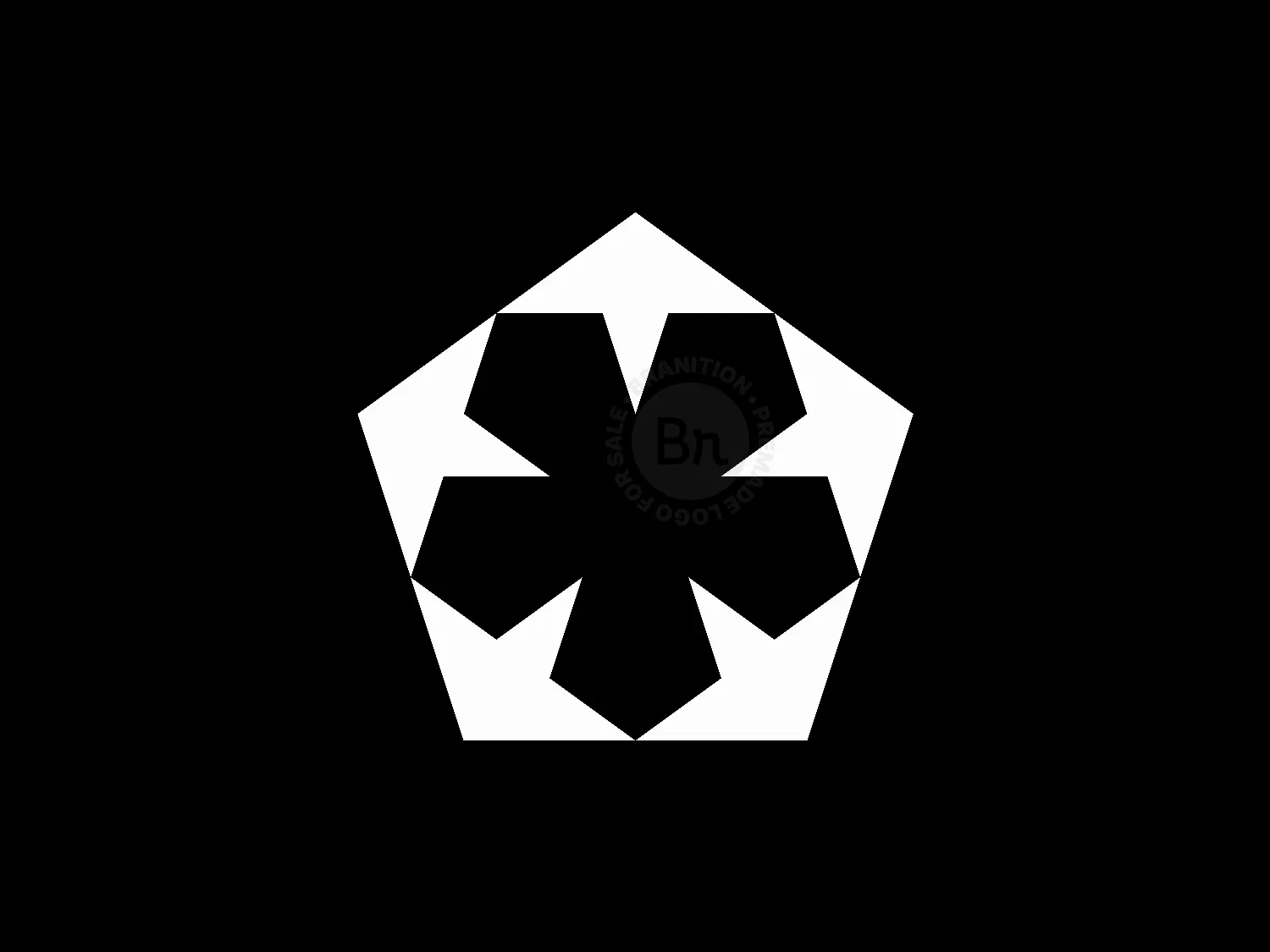Corporate Star Logo
