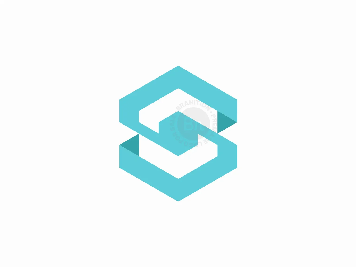 Hexagon S Logo