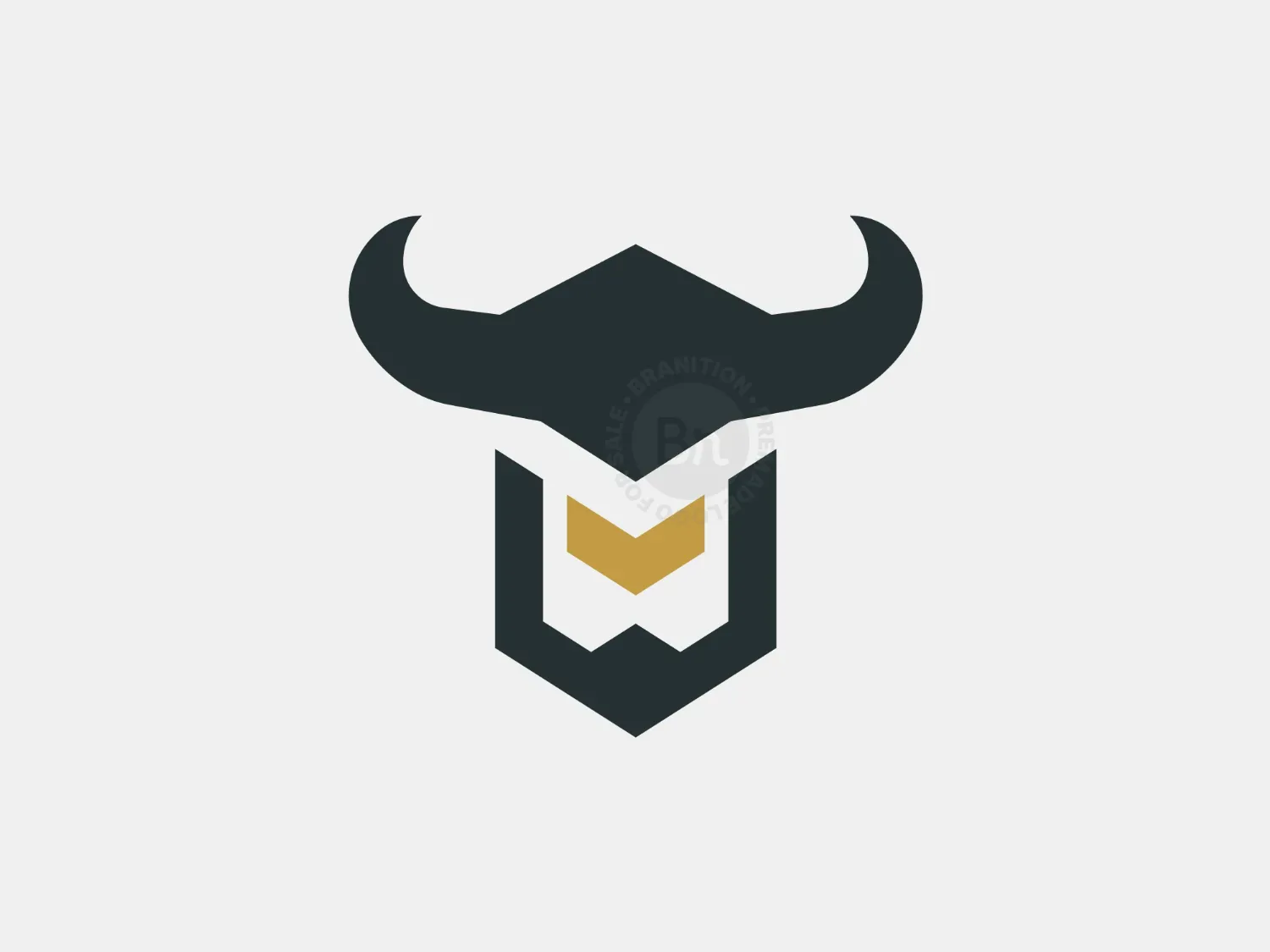 Letter V Viking Logo