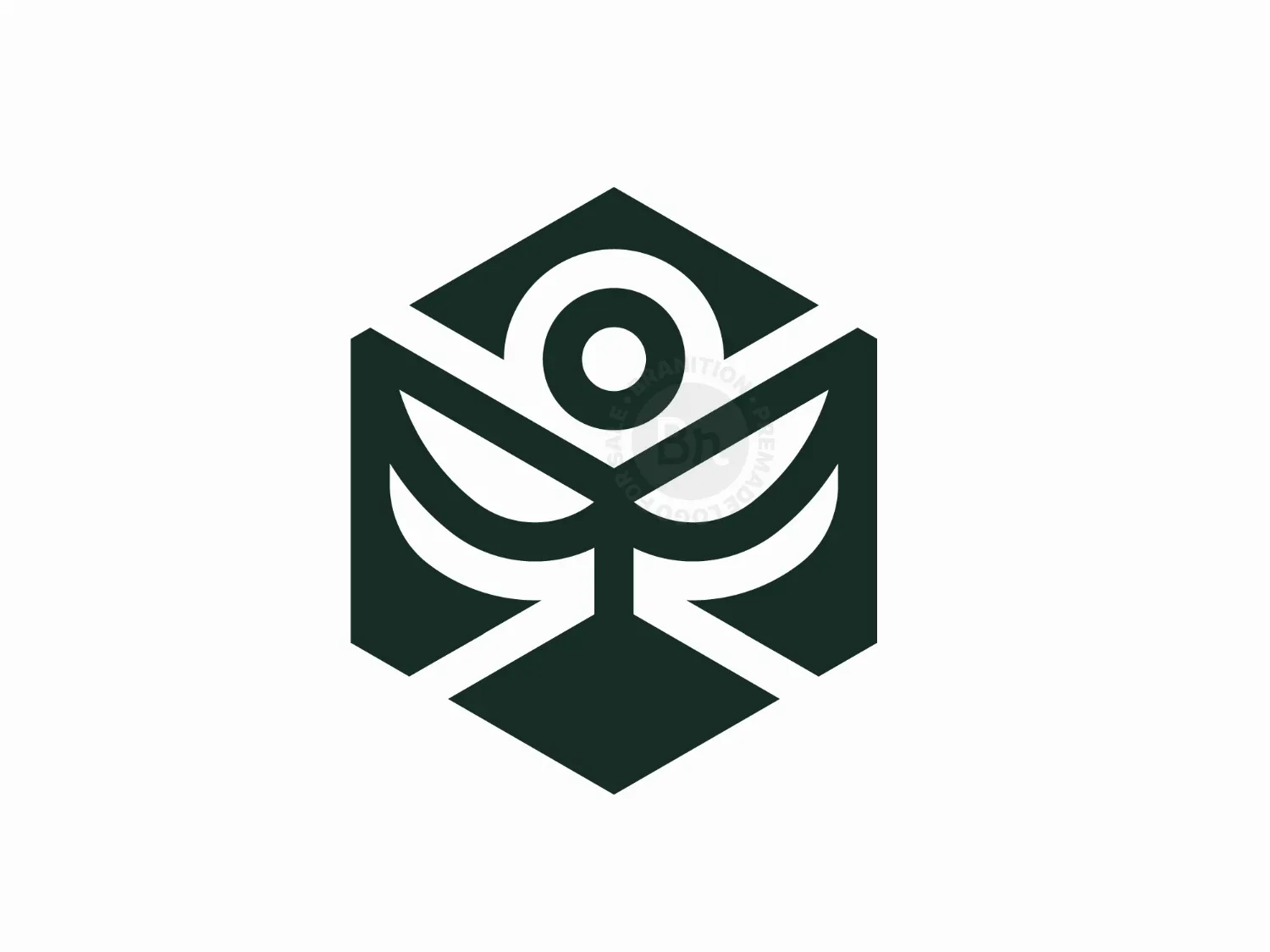 Box Seed Logo