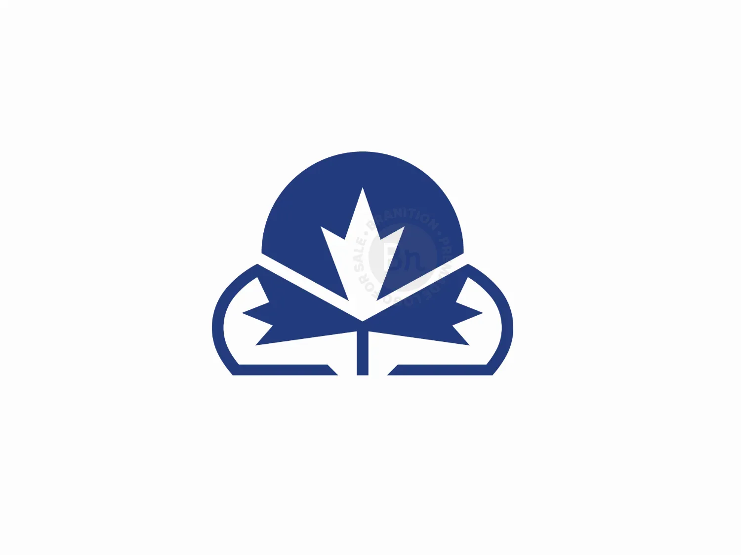 Cloud Mapple Logo
